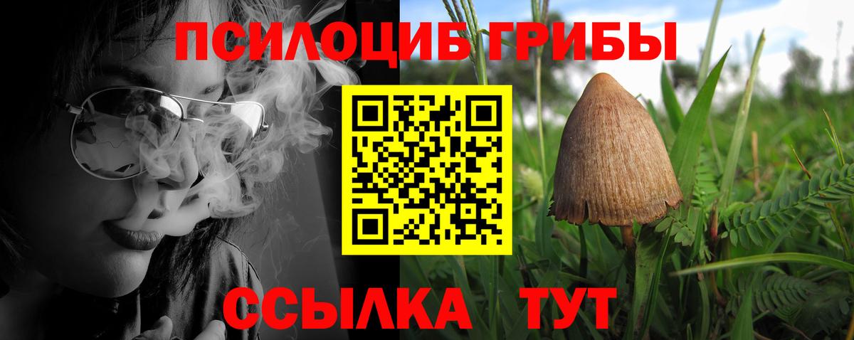 Лабинск  Псилоцибиновые грибы Psilocybine cubensis  Псилоцибиновые грибы Cubensis  Вход с VPN 